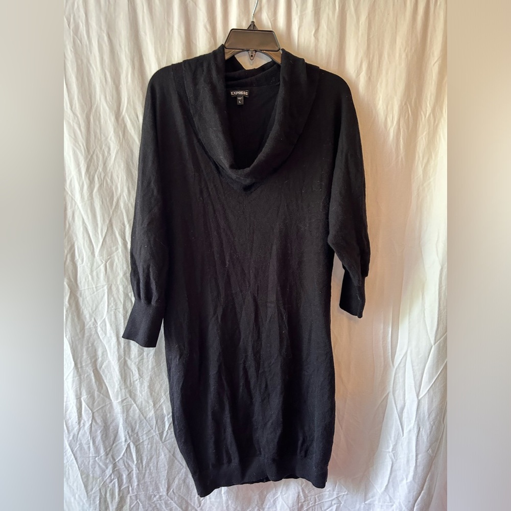 Express sweater dress